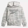 Sudadera con capucha Reebok Identity – Niños pequeños Sudadera con capucha Reebok Identity – Niños pequeños
